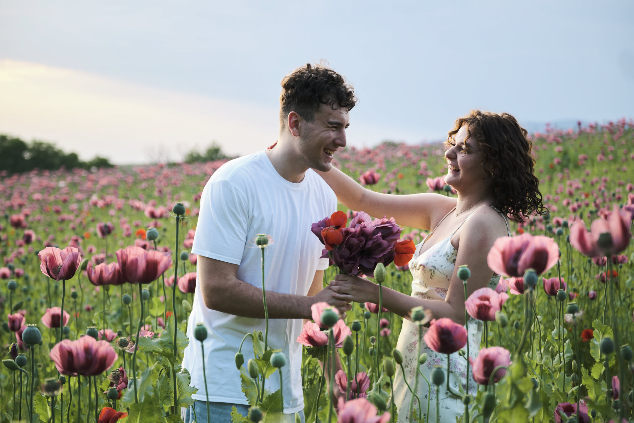Engagement shoot in poppy field